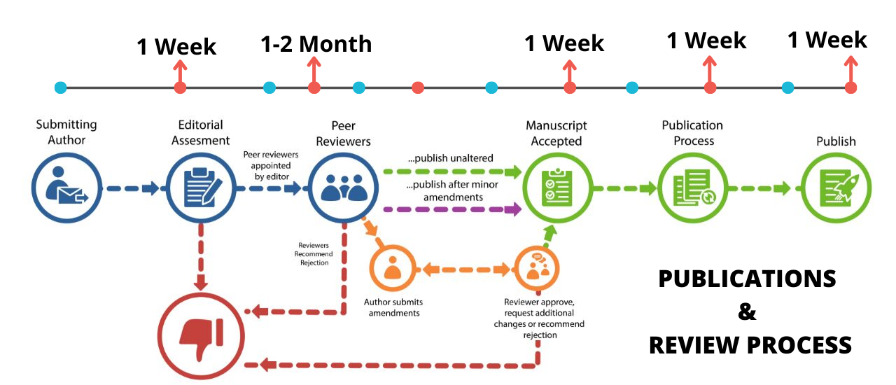 publications and reviews timeline
